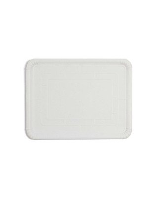 PQT-100 BANDEJA CARTON N8 22X28 (6X100)