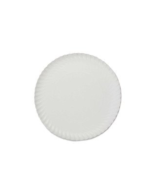 PQT-100 PLATO CARTON 30CMS (4X100)