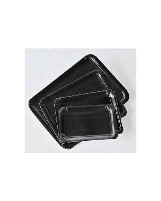 PQT-100 BANDEJA NEGRO N2 10X16 (22X100)