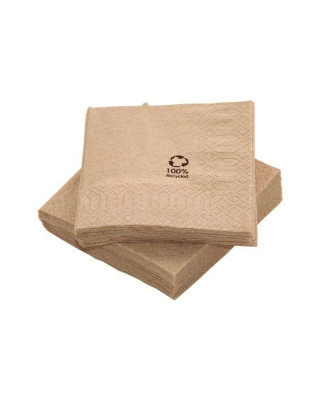 PQT-100 SERVILLETA 20X20 BIO-ECO (60X100)