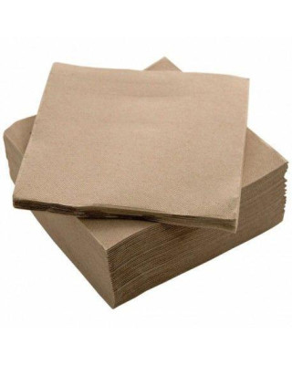 SERVILLETA 40X40 2C BIO-ECO P&P 24P-50