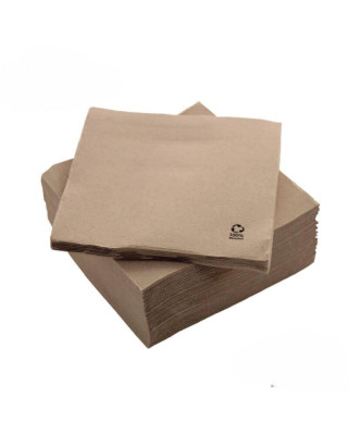 SERVILLETA 40X40 2C BIO-ECO 48P-50
