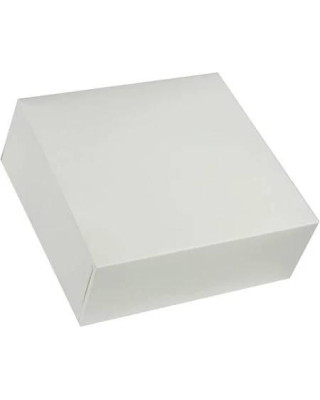 CAJAS CUADRADAS 20X20X10 BLANCAS PQT. 50